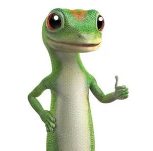 Meet your Posher, Jyo